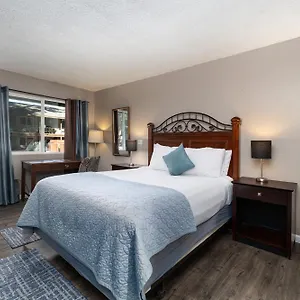 The Alder Hotel